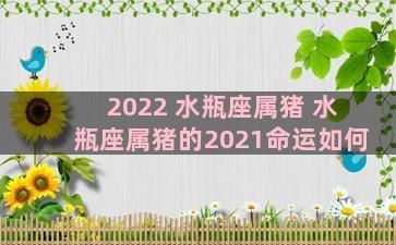 2022 水瓶座属猪 水瓶座属猪的2021命运如何